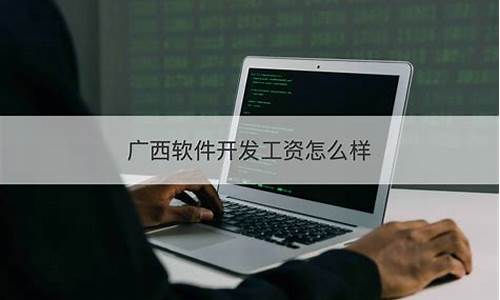 广西软件开发(广西软件开发类专家)